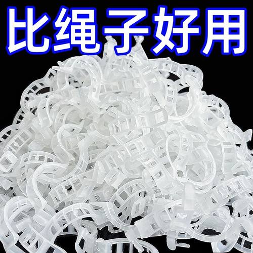 植物固定夹卡扣藤蔓固定器吊秧夹