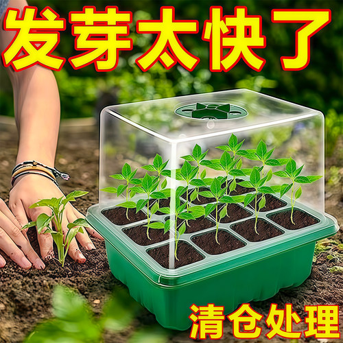 12孔育苗盒加高可调节透气保温