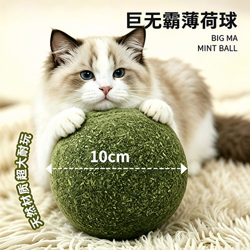 超大猫薄荷逗猫棒自娱磨牙