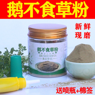 鹅不食草粉新鲜现磨超细鵝不食草鼻舒适汁滴苍耳子油液喷剂雾膏末