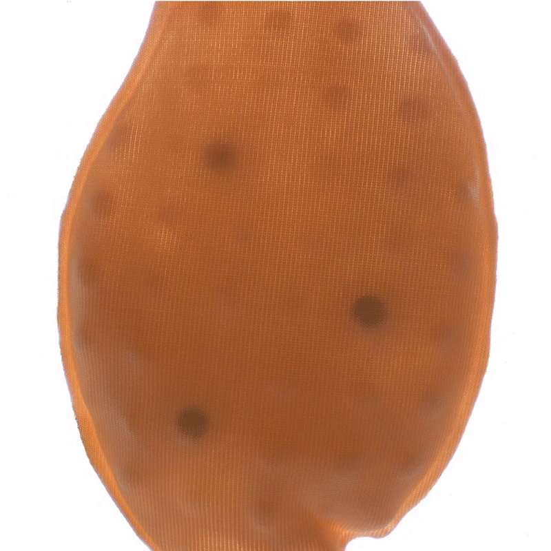 Coques pour soutien-gorge - Ref 822495 Image 4