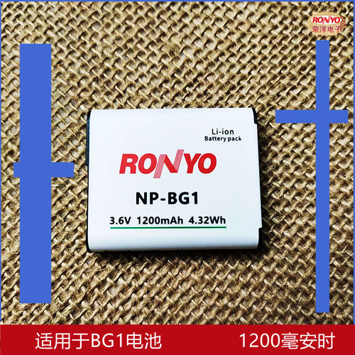 荣洋BG1电池相机充电器
