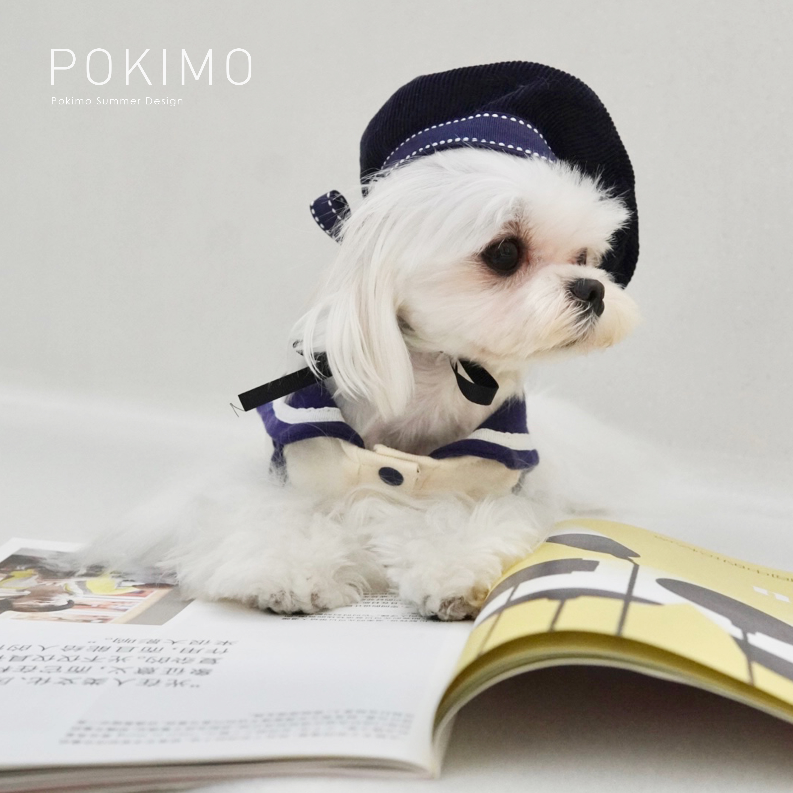 狗狗pokimo学院风马尔济斯比熊