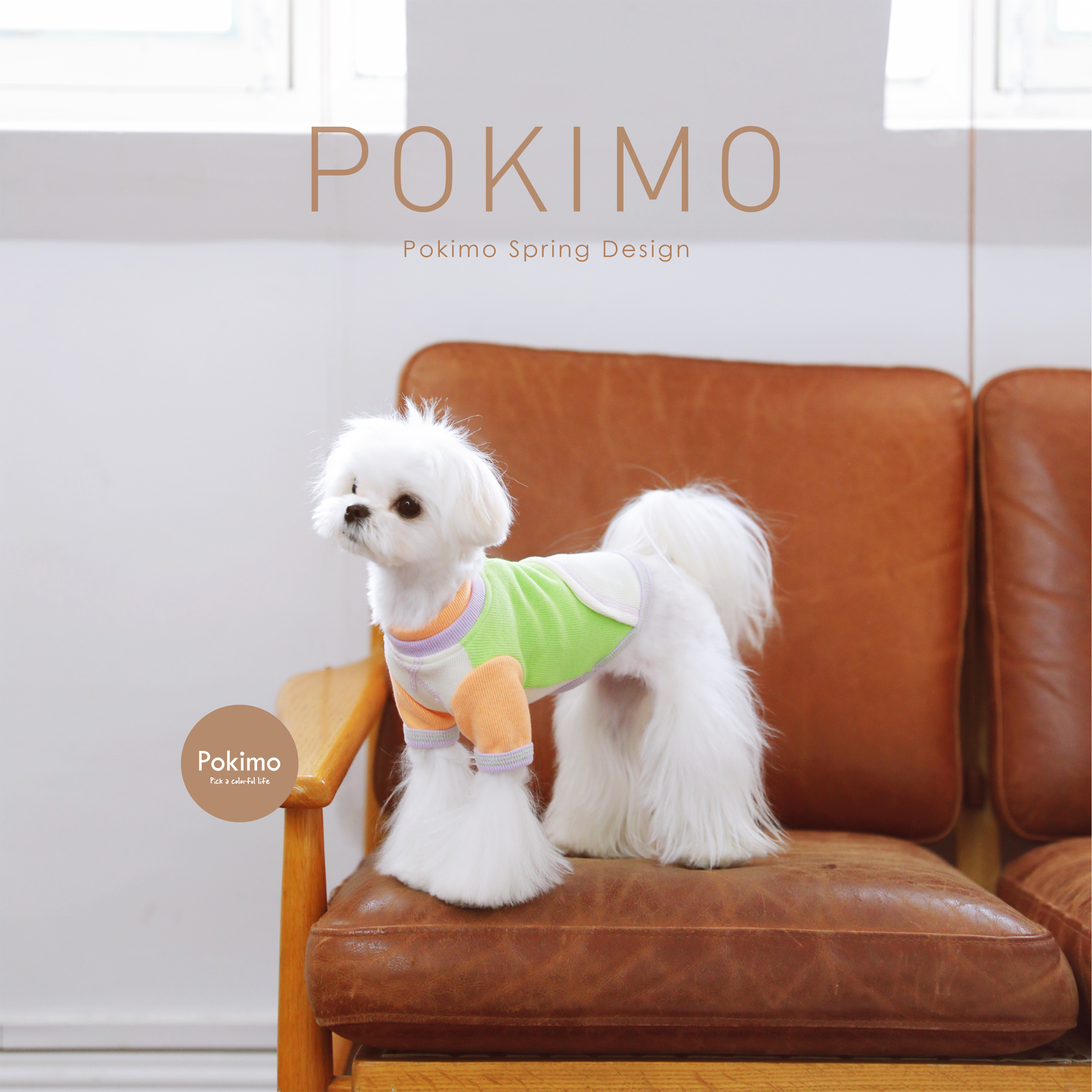 POKIMO马尔济斯春季宠物衣服