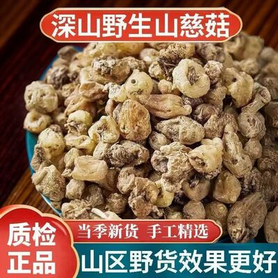 正品云南野生山慈菇中药材500g正宗毛慈菇山茨菇干货冰球子人头七