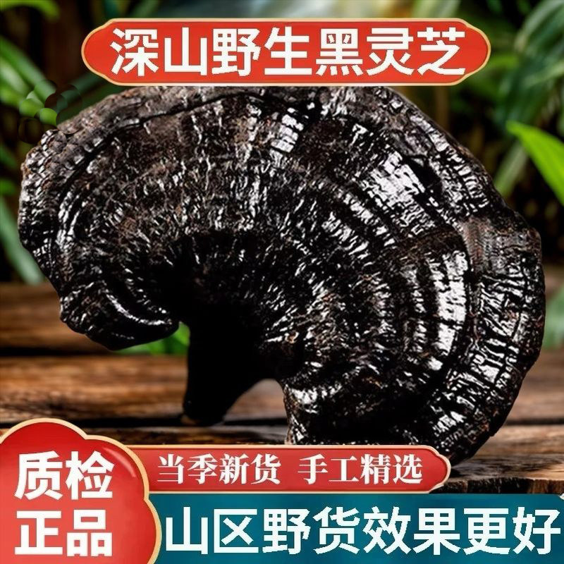 黑灵芝野生长白山中药材500g切片林芝干货整朵泡酒养生茶