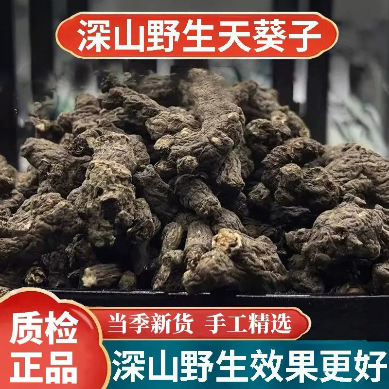 野生天葵子中药材500g正宗天葵草水洗千年老鼠屎紫背天葵子