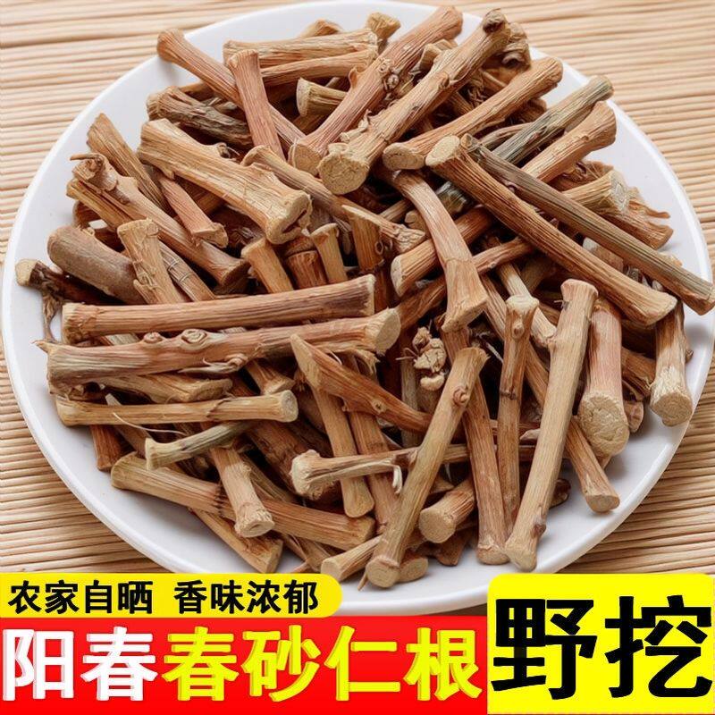 广东野生砂仁根正宗阳春砂仁根春砂仁根干根沙仁根砂仁头蟠龙特产