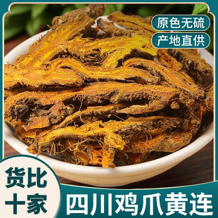 黄连片中药材正宗官方旗舰店正品新货黄莲茶鸡爪黄连根片煲汤泡水