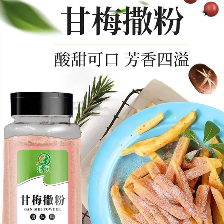 甘梅粉500g商用家用梅子粉甘梅味撒料粉甘梅地瓜鸡排薯条撒料
