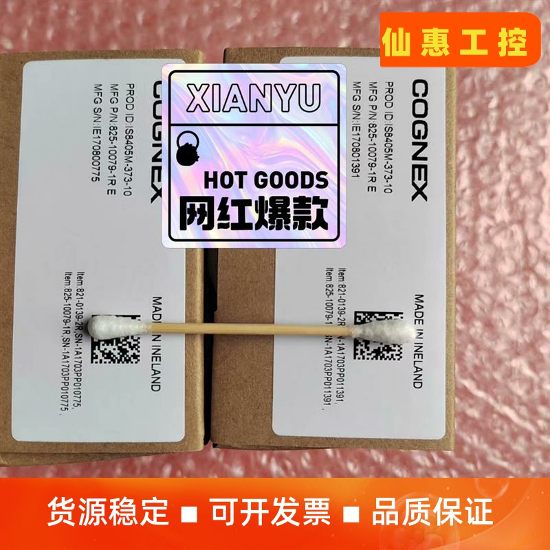 康耐视智能相机IS8405M-373-10项目剩余多台，现货--议价商品
