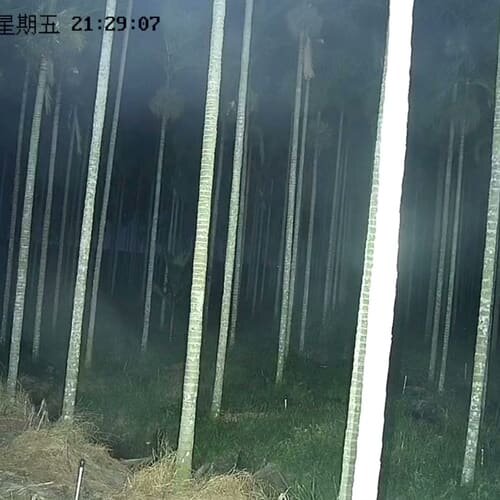 二手海康八寸球机，型号DS-NYCN58233B-F对应型号--议价商品