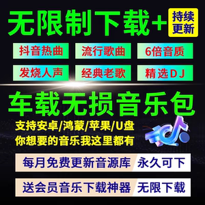 2024年无损车载音乐下载包高音质免费抖音MP3歌曲dj/flac/wav/mp4