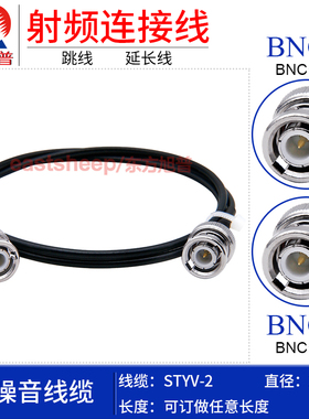 东方旭普 STYV-2低噪音加速度连接线 BNC公转BNC公  BNC-JJ Q9头