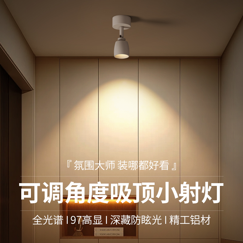 明装射灯可调节角度玄关装饰壁画聚光灯吸顶式迷你小射灯背景墙灯
