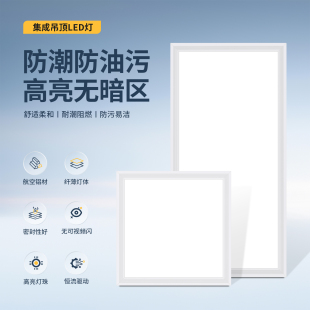 集成吊顶led灯300x300x600铝扣板厨房卫生间灯嵌入式 30x60平板灯