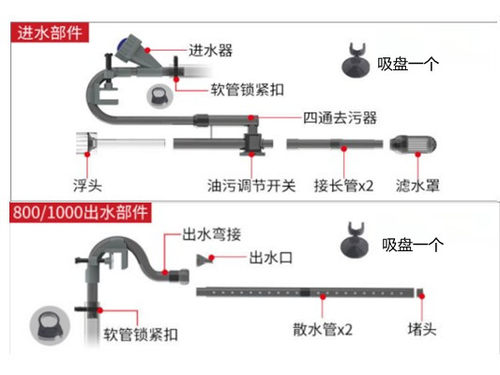 森森旋风xwa创星伊罕建荣水草