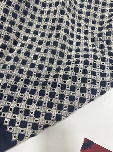 镂空刺绣棉布绣花布料服装设计面料孤品参展跨境娃衣手工服装设计
