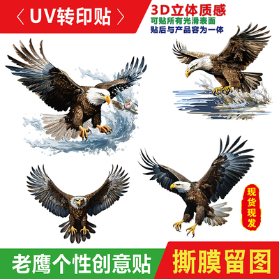 老鹰转印水杯电动车通用装饰3d