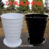 Товары от 花之寨88