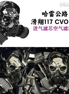 适用哈雷公路滑翔117 CVO 121改装骷髅头 进气滤芯空气滤清器