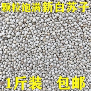 鸟食苏子鸟食白苏子 白苏籽 鹦鹉金丝雀芙蓉鸟玉鸟黄雀鸟粮药用