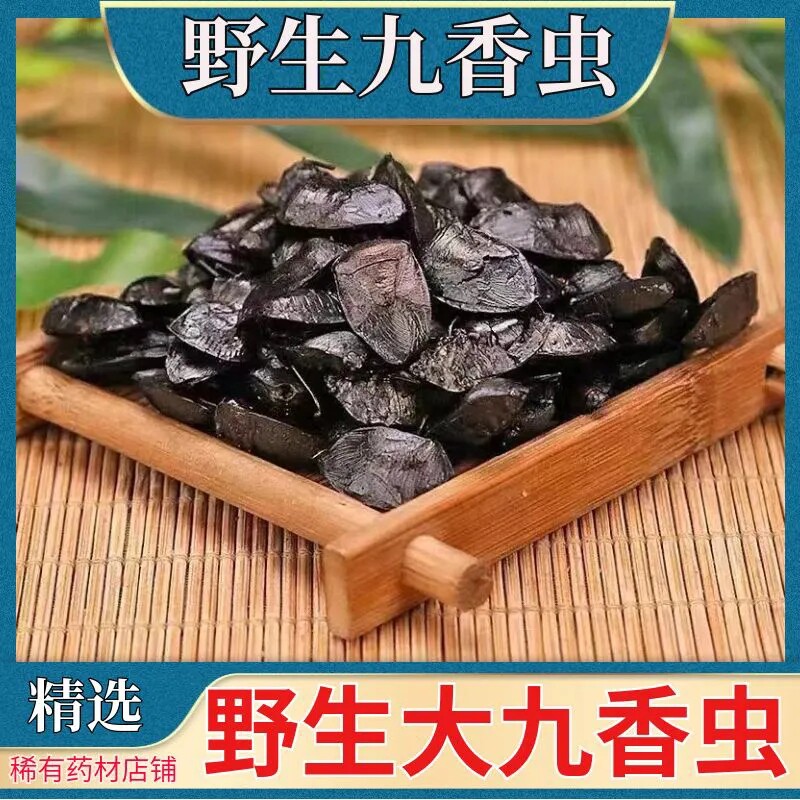 【云南大九香虫】九香虫正品打屁虫屁巴虫臭壳子虫