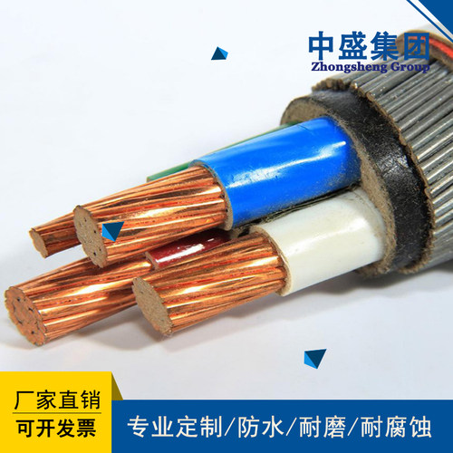 中盛钢丝铠装阻燃计算机电缆ZR-DJVVP32  1*2*1.5