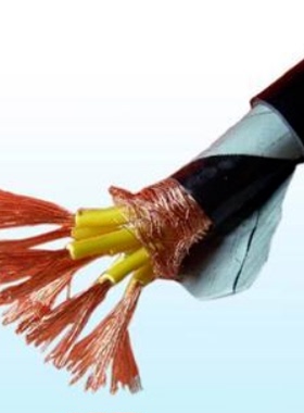 安徽天长市中盛电缆铠装计算机电缆DJYJP3V32 1*2*1.5