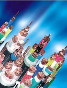 安徽天长市中盛电缆变频电缆BPVVP 4*2.5