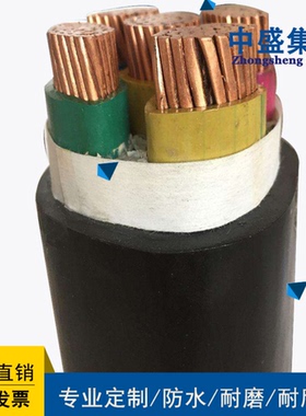 中盛变频器专用变频电缆BPVVP 3*16+3*2.5