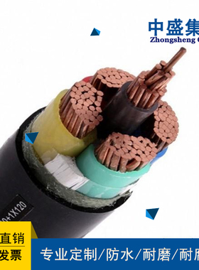安徽天长市中盛电缆特种变频电缆ZR- BPYJVP 3*95+3*25