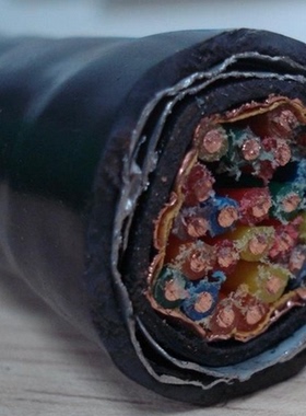 安徽天长中盛电缆铠装计算机电缆 ZR-DJVP2VP2-22   4*2*1.0