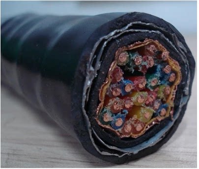 安徽天市阻燃铜带屏蔽铠装计算机电缆 ZC-DJVVP2-22 2*2*1.0