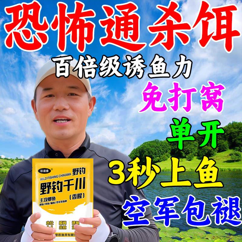 钓鱼饵料天元邓刚四季钓一包搞定