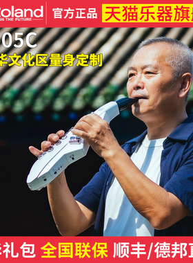 Roland罗兰Aerophone GO AE-05C电吹管电子吹管电萨克斯民族音色