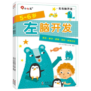 邦臣小红花阶梯数学+左右脑开发幼儿园宝宝早教绘本幼小衔接教材全套5-6岁五六岁益智专注力智力开发数字连线书儿童启蒙认知书籍