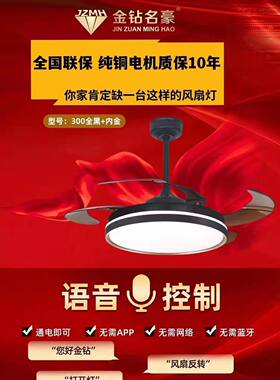 常州灯具城直销新款led语音铜