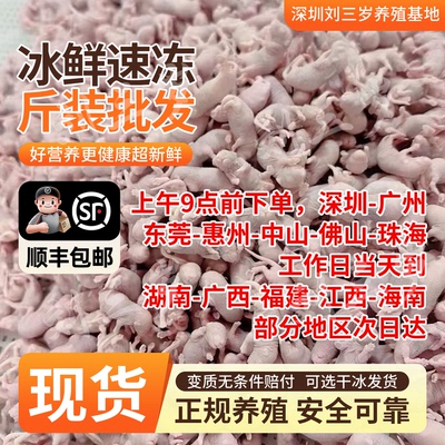 刘三岁深圳速冻无菌乳鼠1斤装