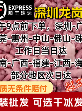 深圳冷冻红皮粉皮白霜乳鼠喂蛇冰冻小白鼠速冻新鲜无菌1斤装