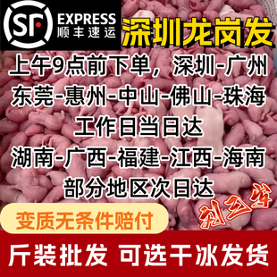 深圳冷冻红皮粉皮白霜乳鼠喂蛇冰冻小白鼠速冻新鲜无菌1斤装