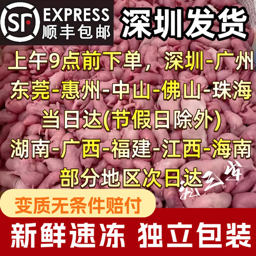 深圳刘三岁小白鼠饲料