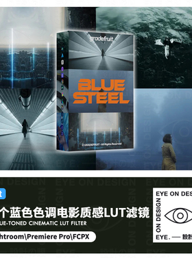 紧张神秘蓝色电影感LUTS滤镜PR达芬奇Ligtroom/FCP视频调色包预设