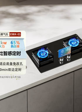 老板小尺寸23BX-E1/2B0A2/20B0A/2B0A2/30B5X嵌入燃气灶家用厨房