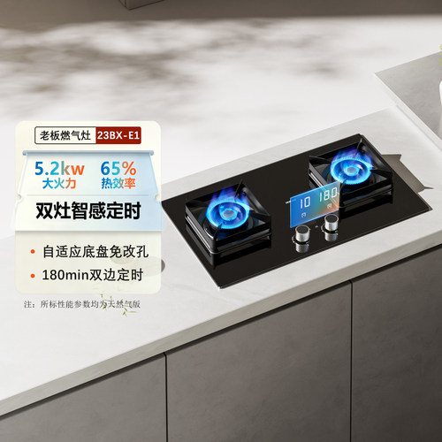 老板小尺寸23BX-E1/2B0A2/20B0A/2B0A2/30B5X嵌入燃气灶家用厨房