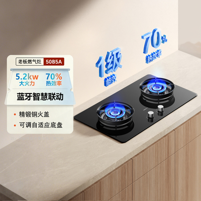 【小灶王】老板50B5A/50B7A/23BX-E1/56BA-E2燃气灶猛火定时双灶