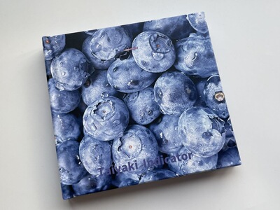 soii手帐分装|水果 手帐本定页本《蓝莓》