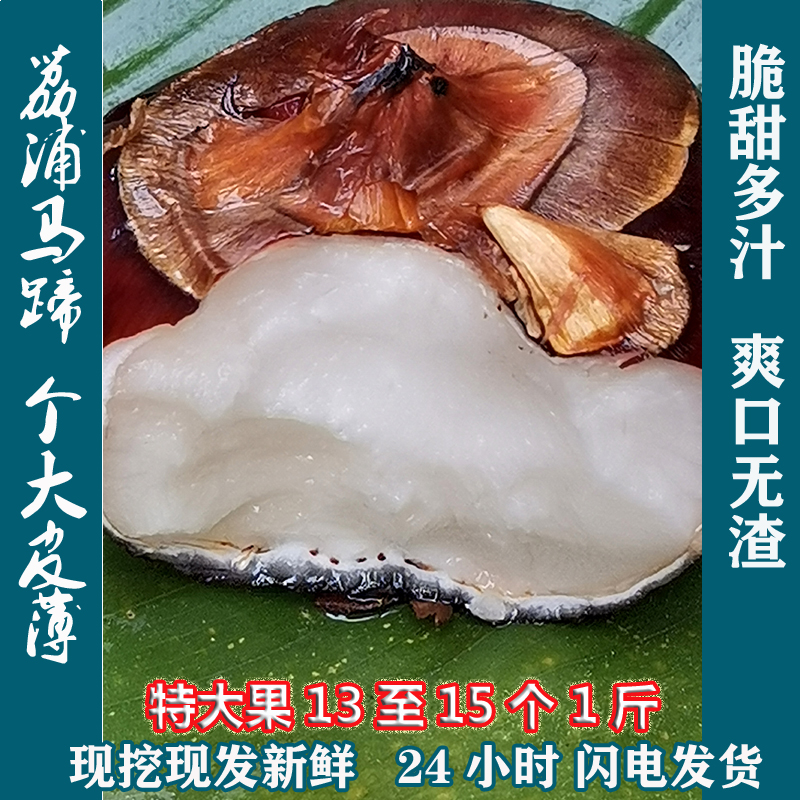 广西荔浦特产新鲜马蹄茡荠5斤现挖地栗农家当季水果红马蹄包邮