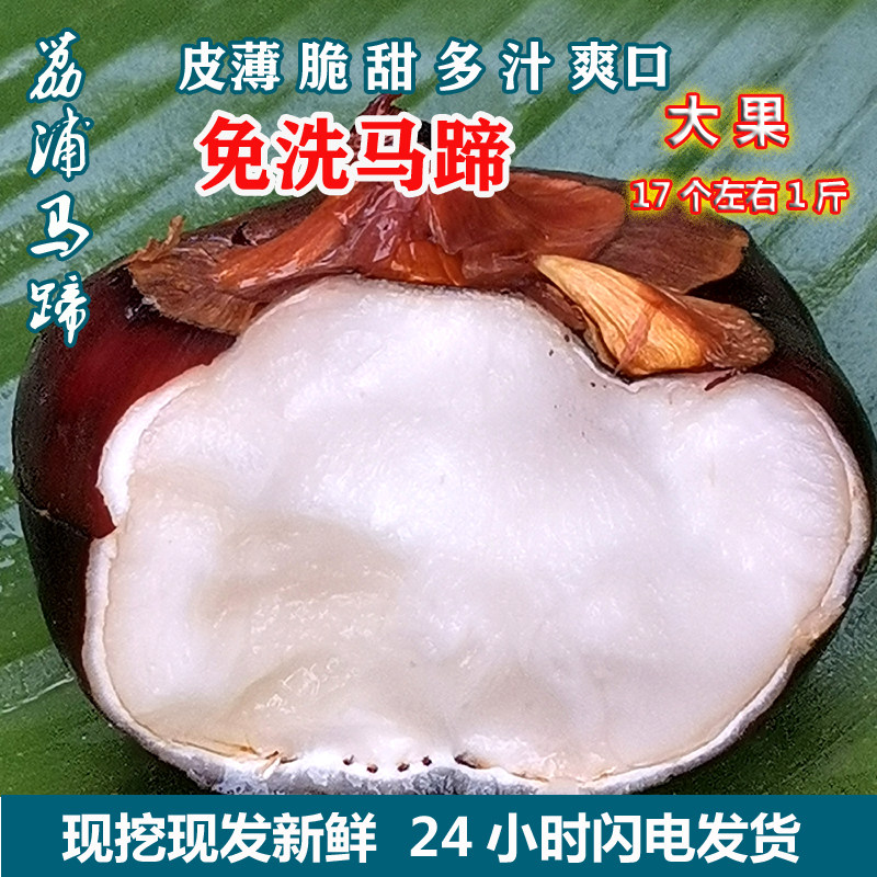 当季新鲜果好包甜溪水清洗开箱即食正宗荔浦免洗水果马蹄加冰发货
