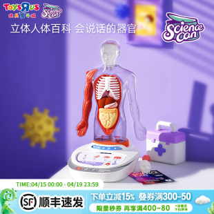 科学罐头人体解剖模型器官可拆卸教学我们的身体语音百科益智学历